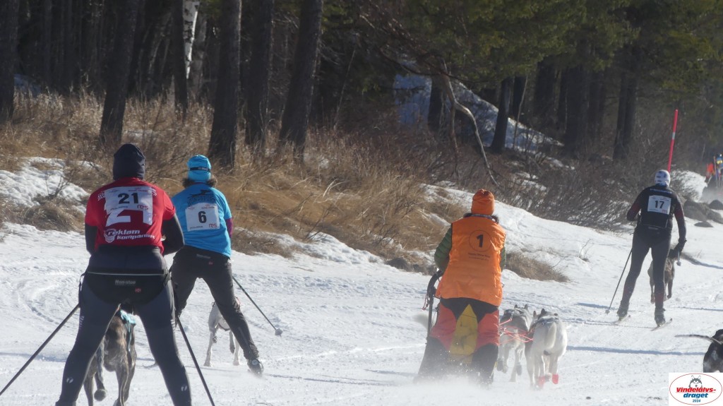 P1080059_resultat.jpg