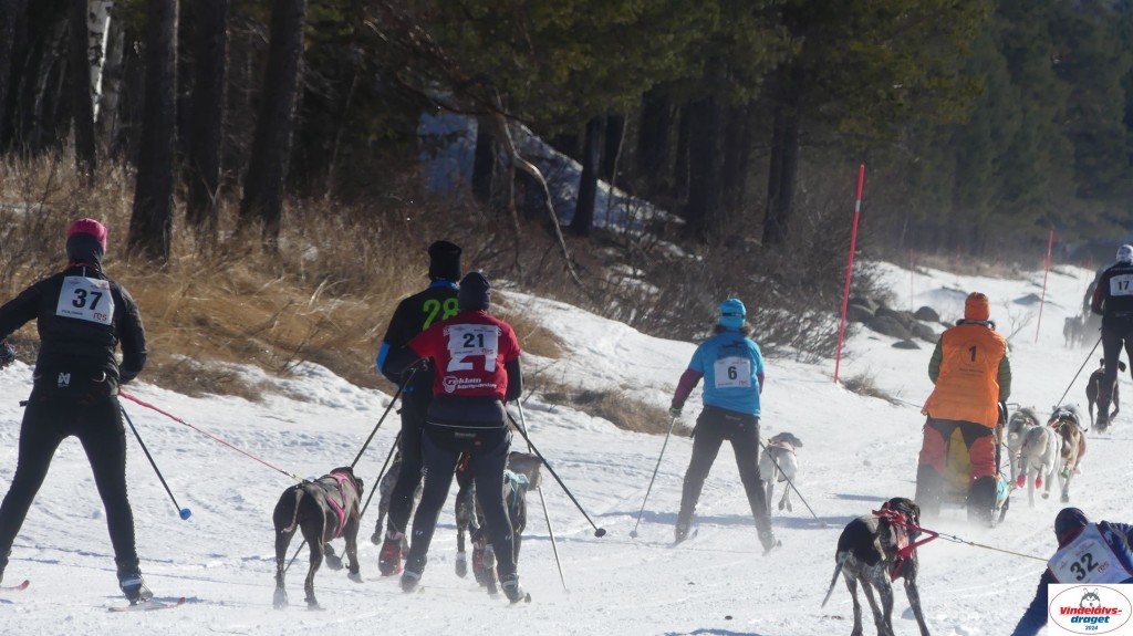 P1080061_resultat.jpg