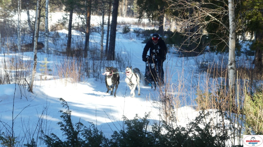 P1080071_resultat.jpg