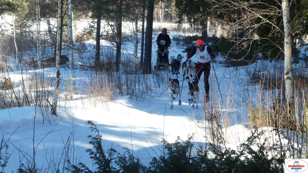 P1080073_resultat.jpg