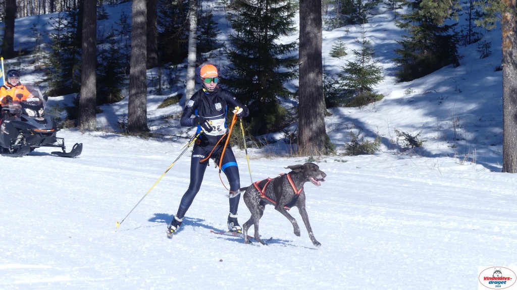 P1080087_resultat.jpg