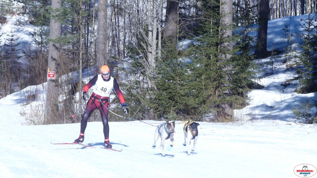 P1080088_resultat.jpg
