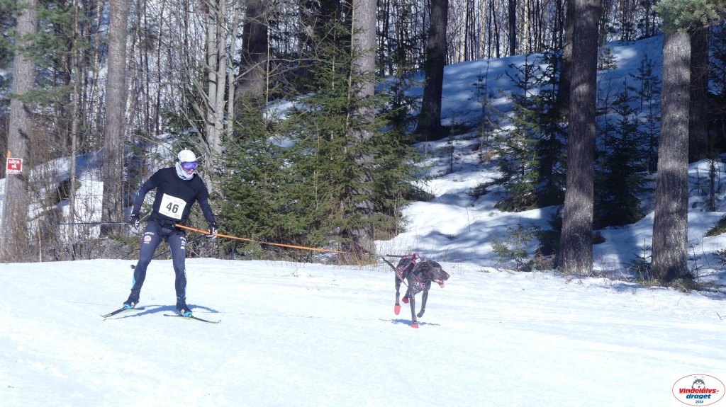 P1080091_resultat.jpg