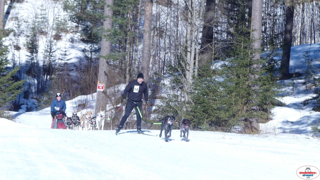 P1080096_resultat.jpg