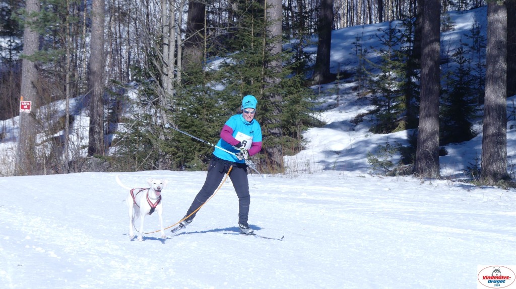 P1080101_resultat.jpg