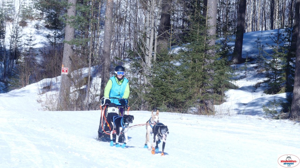 P1080103_resultat.jpg