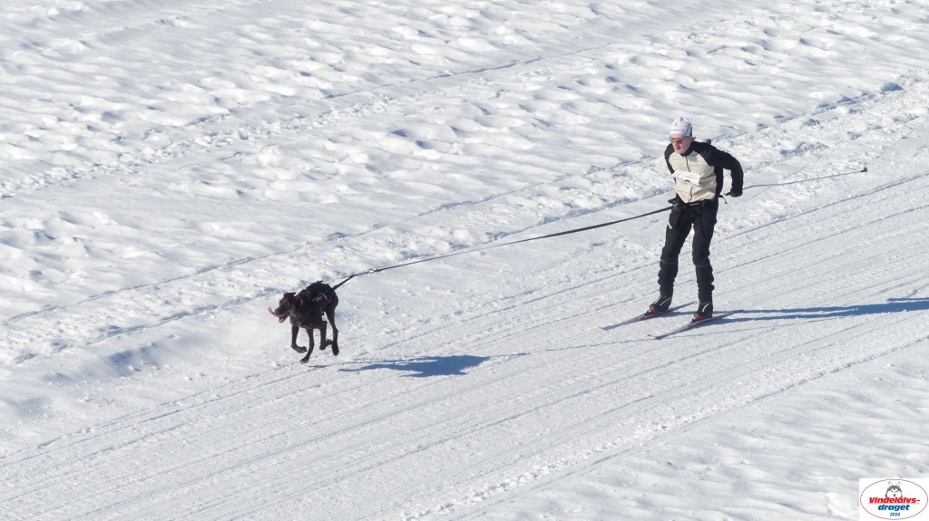 P1080116_resultat.jpg