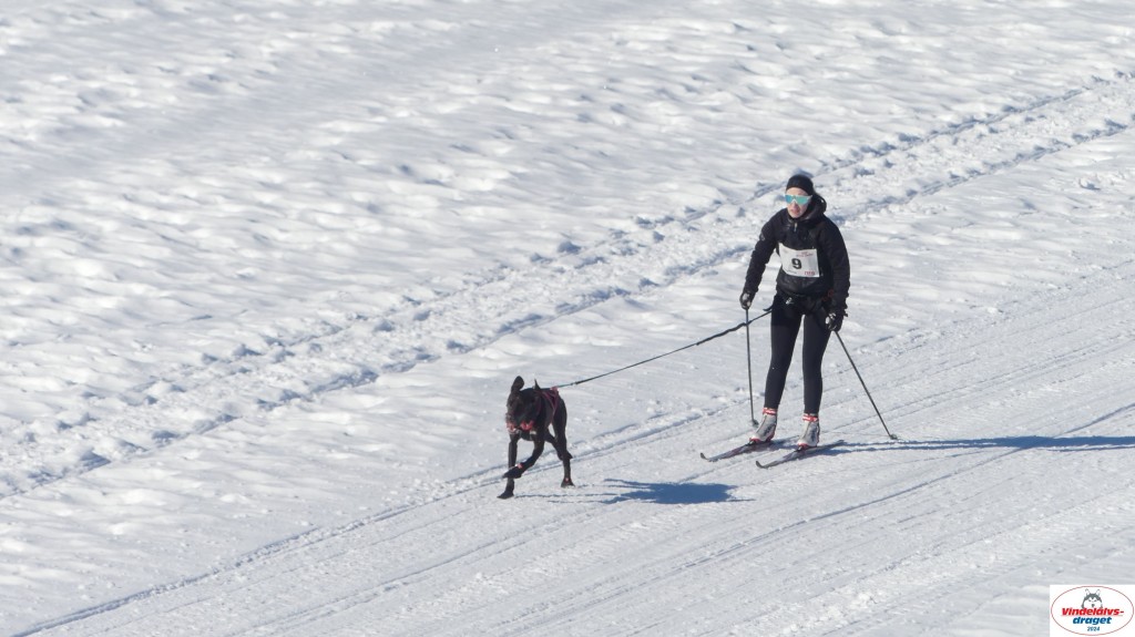 P1080118_resultat.jpg