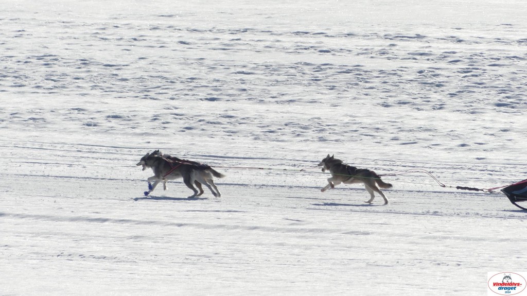 P1080123_resultat.jpg