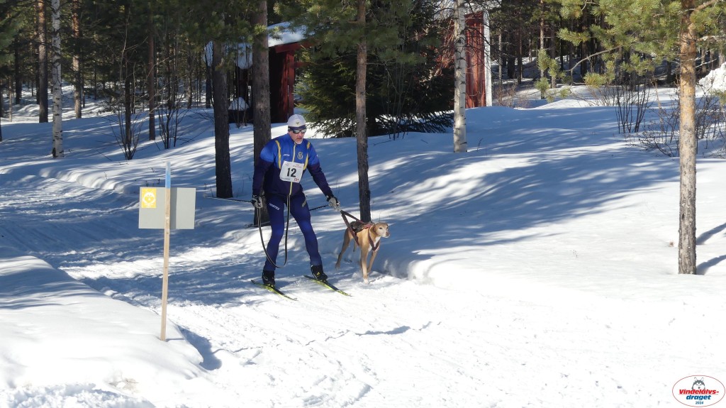 P1080135_resultat.jpg
