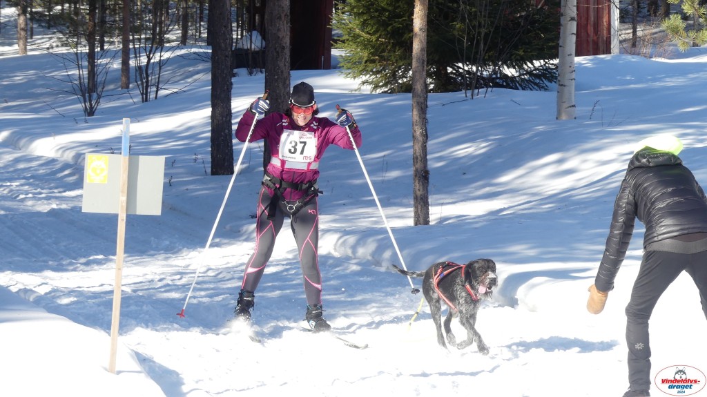 P1080146_resultat.jpg
