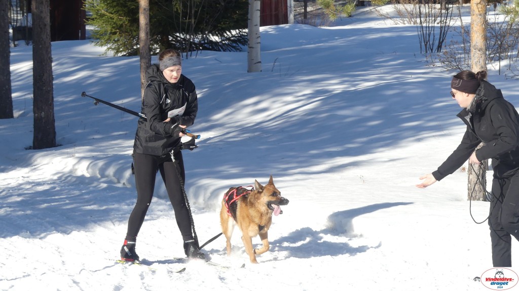 P1080149_resultat.jpg