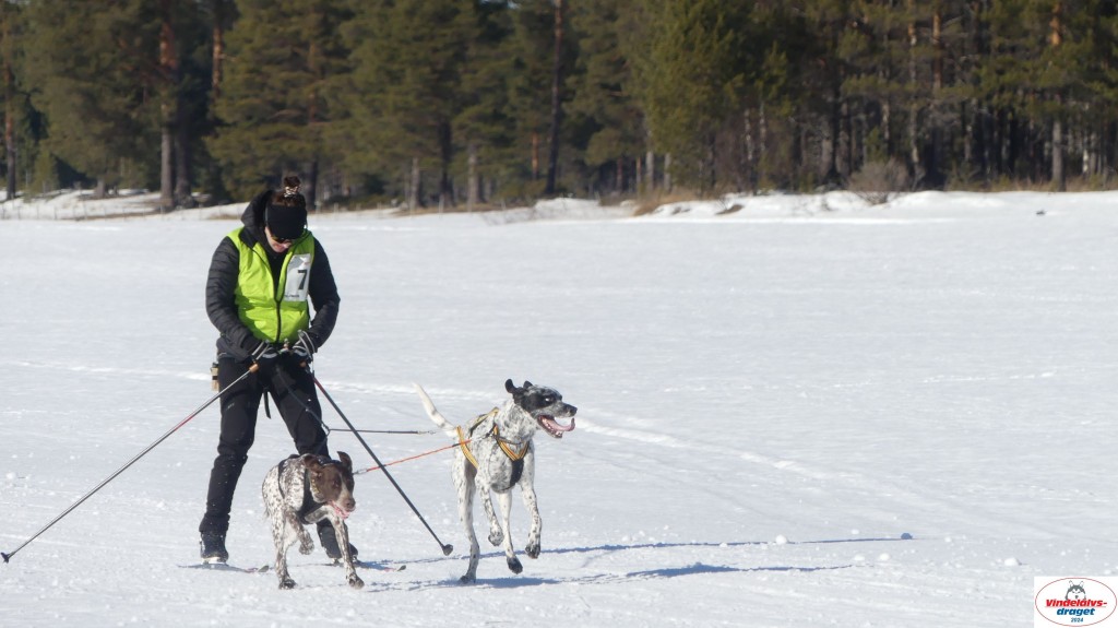 P1080154_resultat.jpg