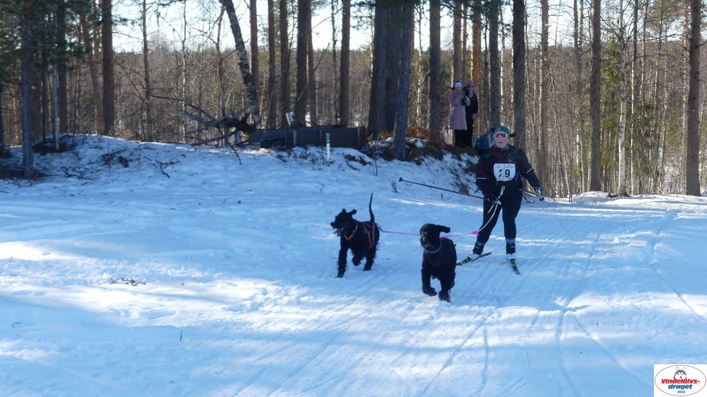 P1080166_resultat.jpg