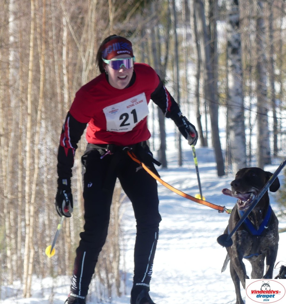P1080170_cr_resultat.jpg