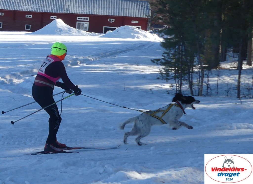 P1080171_cr_resultat.jpg