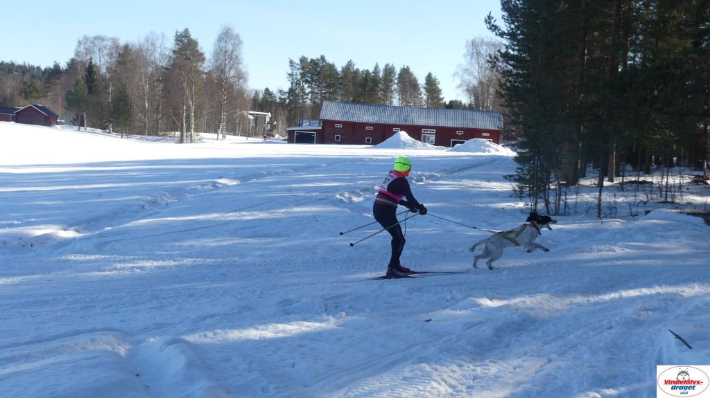 P1080171_resultat.jpg