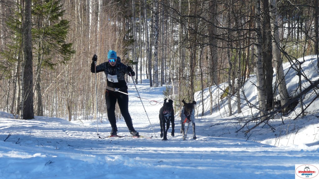 P1080174_resultat.jpg