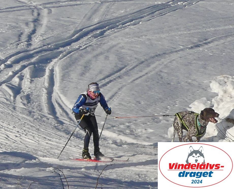 P1080244_cr_cr_resultat.jpg