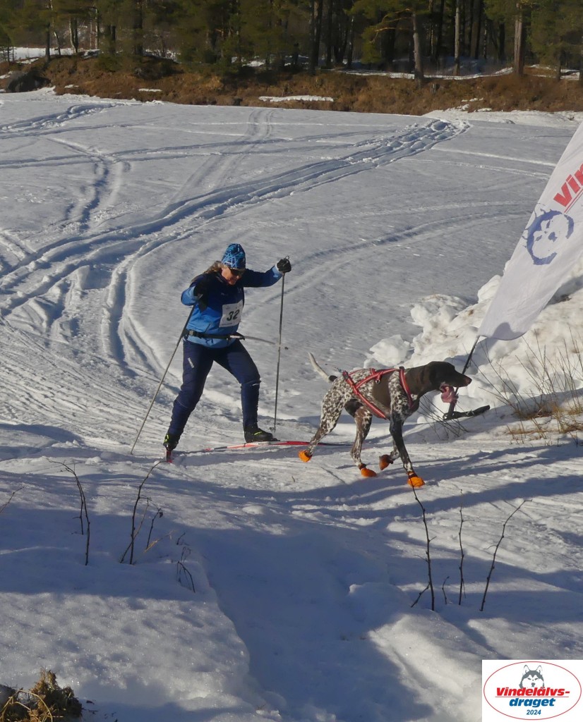 P1080245_cr_resultat.jpg