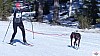 P1080106_resultat.jpg