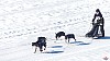 P1080111_resultat.jpg