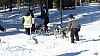 P1080140_resultat.jpg