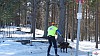 P1080176_resultat.jpg
