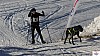 P1080257_resultat.jpg