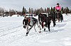 Vindelalvsdraget day 1 - 16.jpg