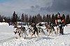 Vindelalvsdraget day 1 - 23.jpg
