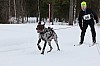Vindelalvsdraget day 1 - 28.jpg