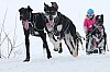 Vindelalvsdraget day 1 - 33.jpg