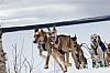 Vindelalvsdraget day 1 - 38.jpg