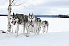 Vindelalvsdraget day 1 - 44.jpg