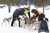 Vindelalvsdraget day 1 - 45.jpg