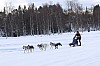 Vindelalvsdraget day 1 - 48.jpg