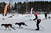 Vindelalvsdraget day 1 - 50.jpg