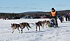 Vindelalvsdraget - day 2- 18.jpg