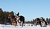 Vindelalvsdraget - day 2- 20.jpg