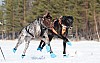 Vindelalvsdraget - day 2- 27.jpg