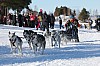 Vindelalvsdraget - day 2- 38.jpg