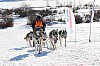 Vindelalvsdraget - day 2- 48.jpg