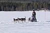 Vindelalvsdraget - day 2- 63.jpg