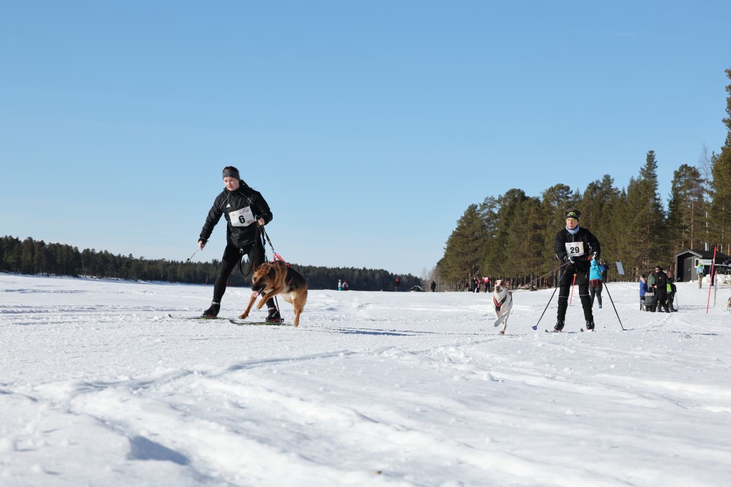 Vindelalvsdraget - day 3 - 23a.jpg