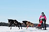 Vindelalvsdraget - day 3 - 11.jpg