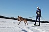 Vindelalvsdraget - day 3 - 18.jpg
