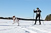 Vindelalvsdraget - day 3 - 24.jpg