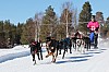 Vindelalvsdraget - day 3 - 32.jpg