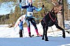 Vindelalvsdraget - day 3 - 50.jpg